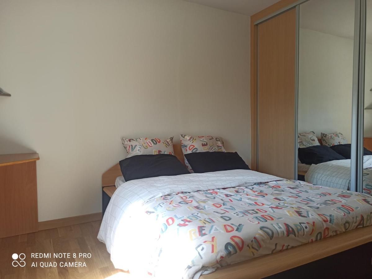 Super Appartement Avec Terasse Bischheim Exterior photo